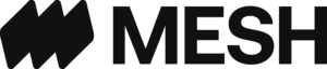 logo mesh payments